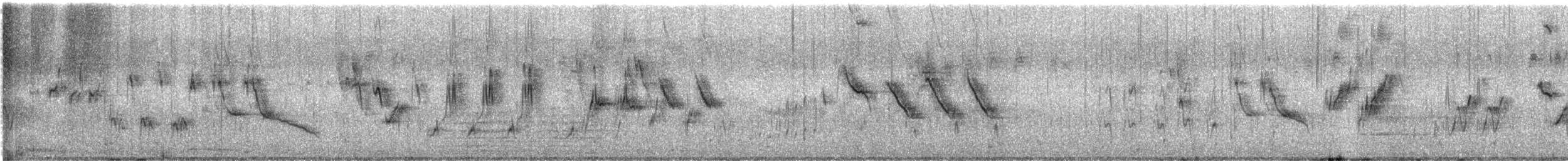 Lavandera India - ML644456541