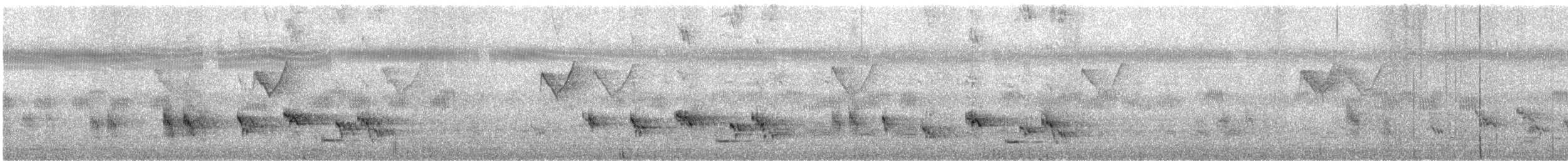 Light-vented Bulbul (hainanus) - ML644457137