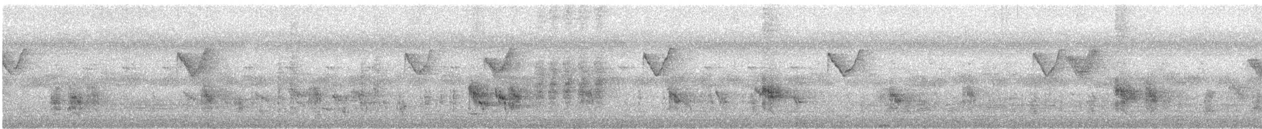 Light-vented Bulbul (hainanus) - ML644457139