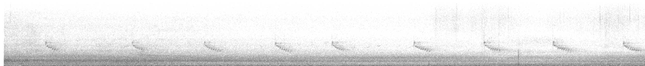 チャバラマユミソサザイ - ML644457251