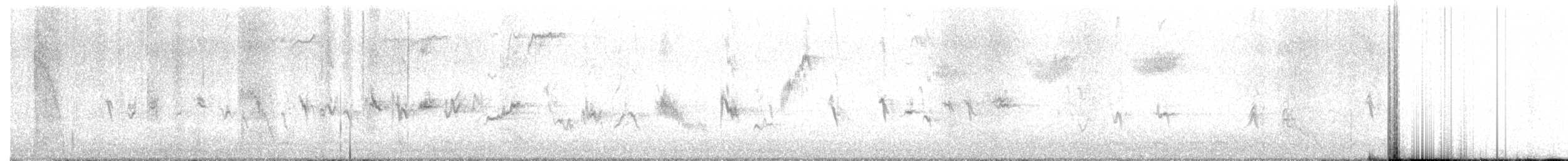 メキシコマシコ - ML644457287