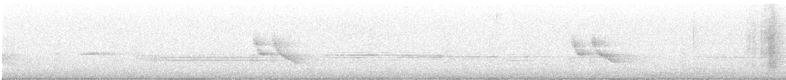 White-browed Wagtail - ML644457335