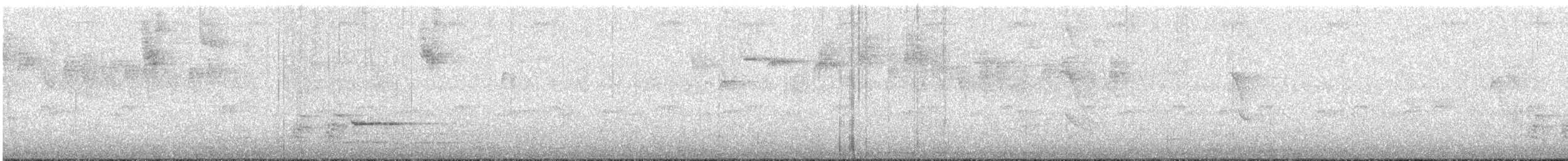 シロクロヒメウソ - ML644457565