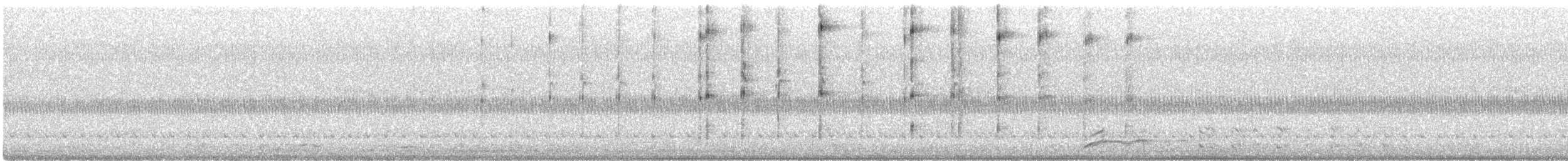 Amerikaschleiereule - ML644457883