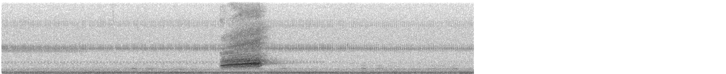 Amerikaschleiereule - ML644457887