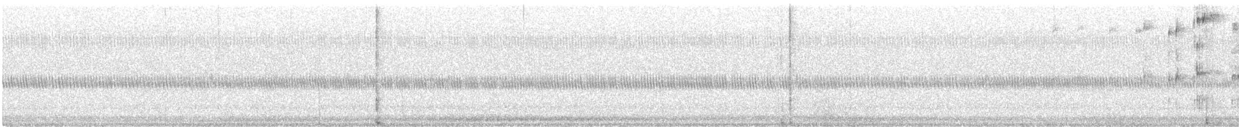 Amerikaschleiereule - ML644457889