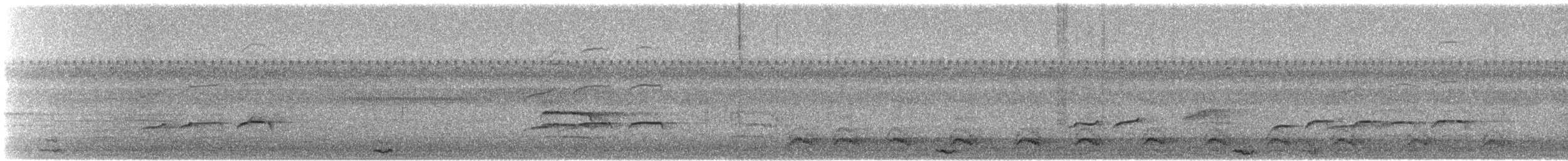 Wild Turkey - ML644458350