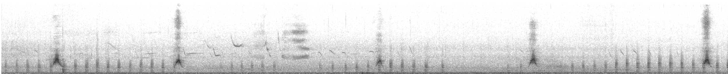 Crested Duck - ML644458390