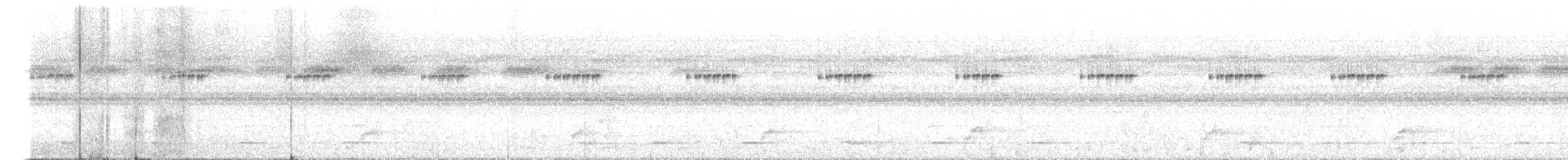 Tucán Pechiblanco - ML644458683