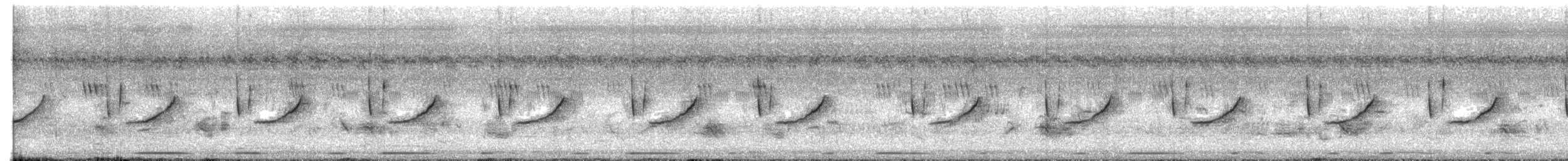 Jungle Prinia - ML644458714