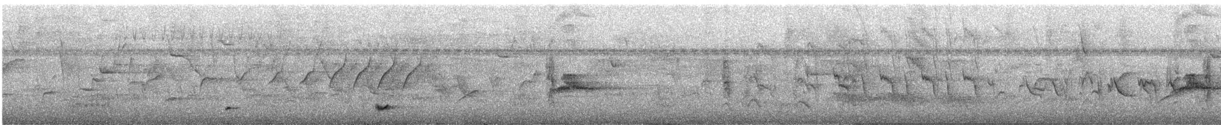 Yellow-bellied Elaenia - ML644458870