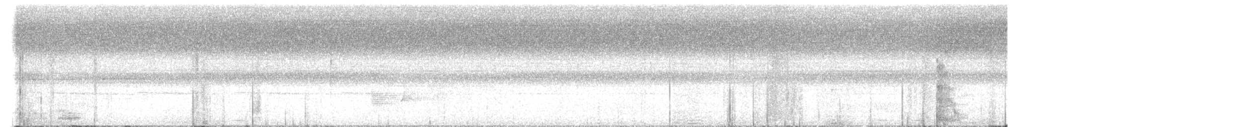 Dwarf Tyrant-Manakin - ML644459324