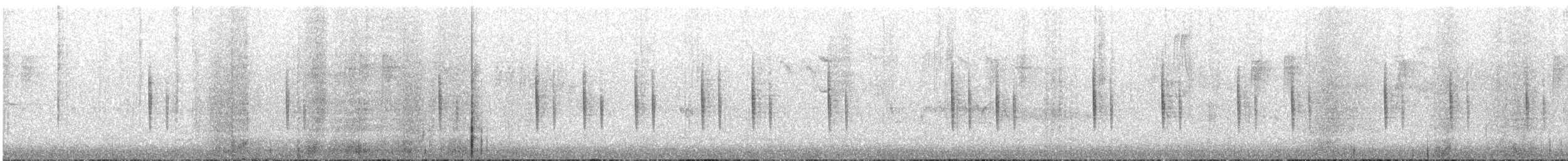 Luì scuro - ML644459796