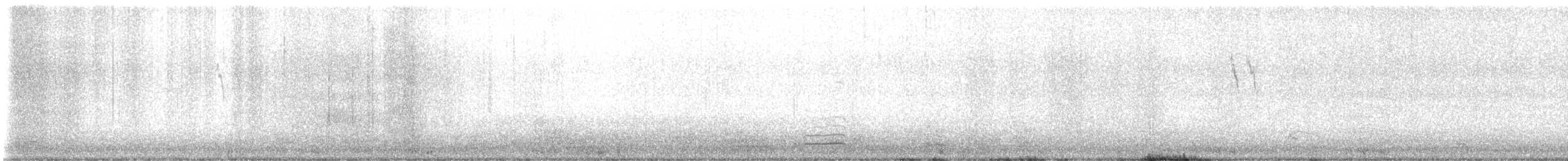 Spioncello del Pacifico - ML644460318