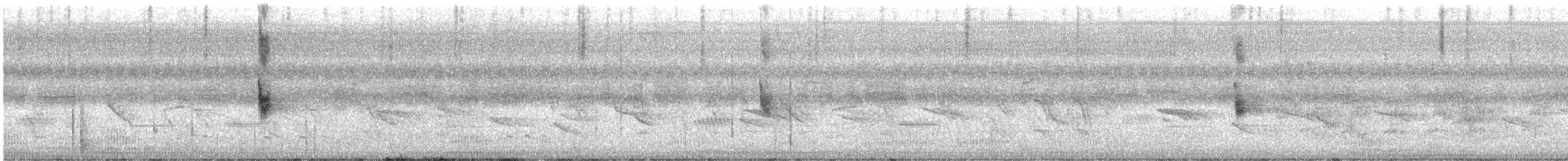 マミジロマネシツグミ - ML644460527