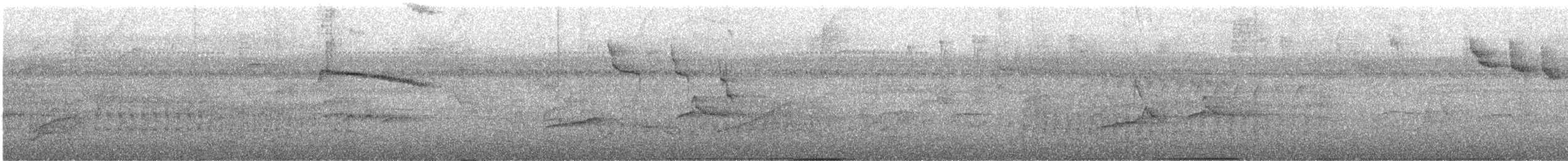 Кракс великий - ML644460710