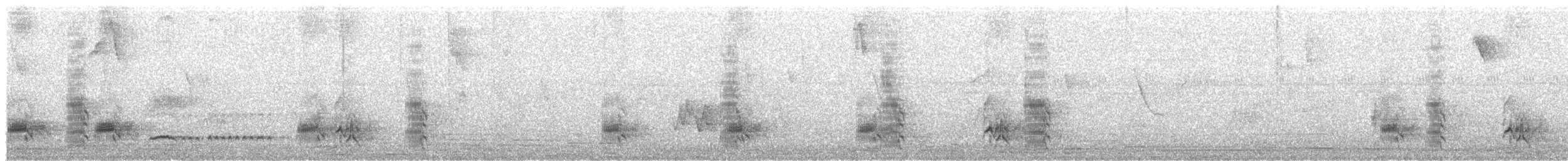 Swainson's Flycatcher - ML644460711