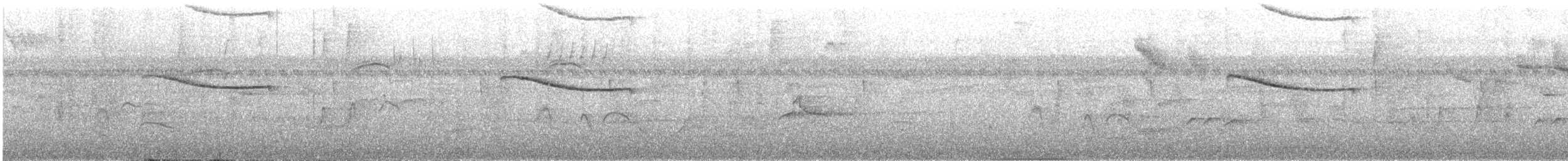 Tamatia de Lafresnaye - ML644460718