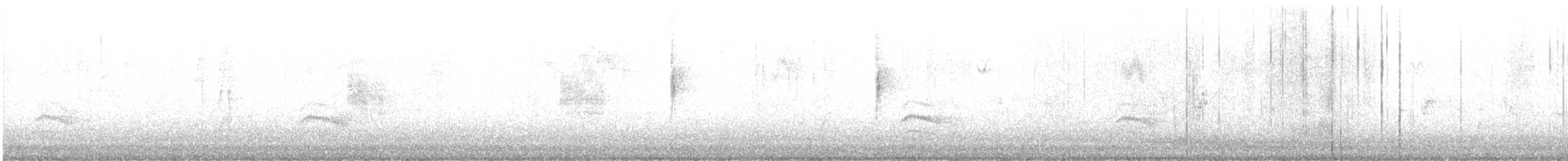 Sittelle à poitrine blanche - ML644461159