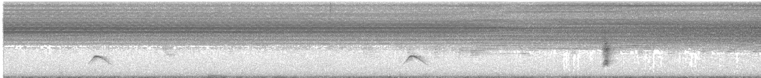 Grauwangen-Olivtyrann - ML644461432