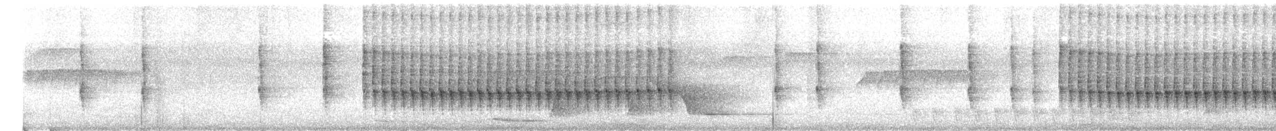 Schwarzschwanz-Degenschnäbler - ML644461456
