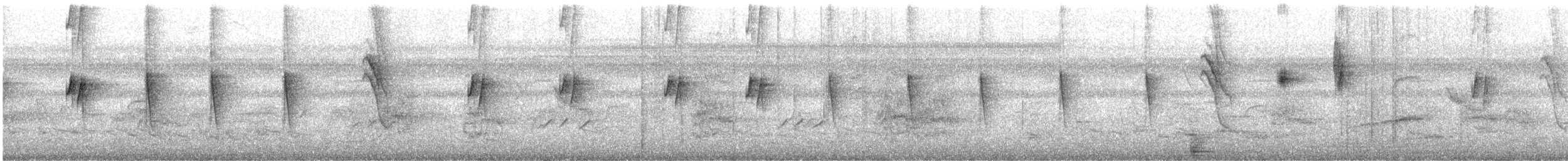 skjellbrystkolibri - ML644461601