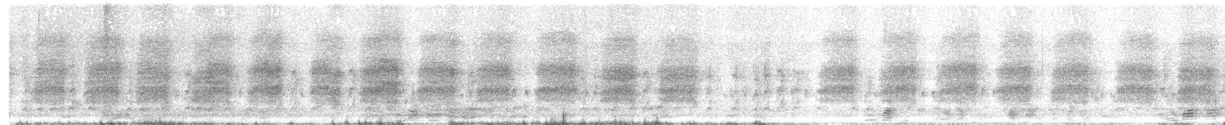 Long-tailed Shrike - ML644462422