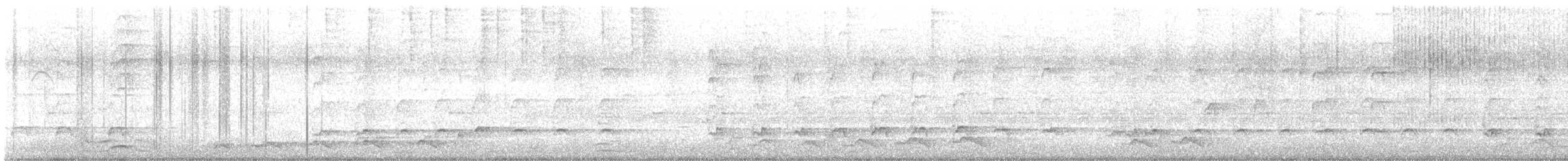 Asian Koel - ML644462740