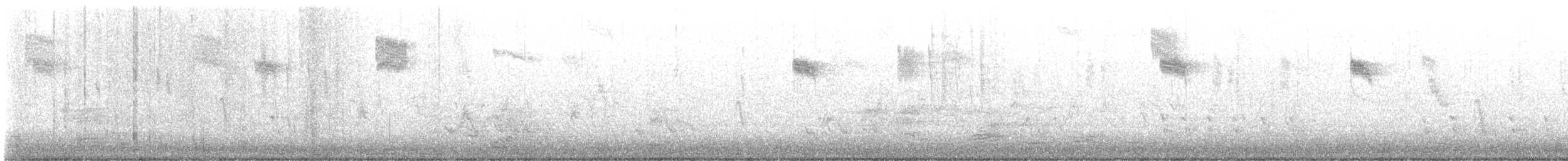 Allen's Hummingbird - ML644463917