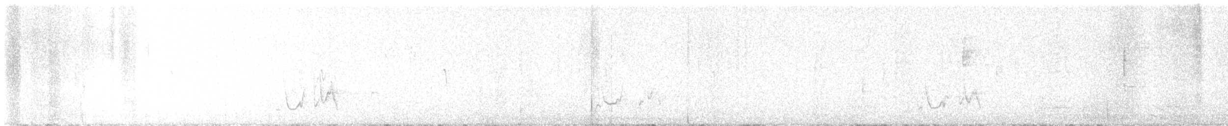 mesquitespottefugl - ML644464074