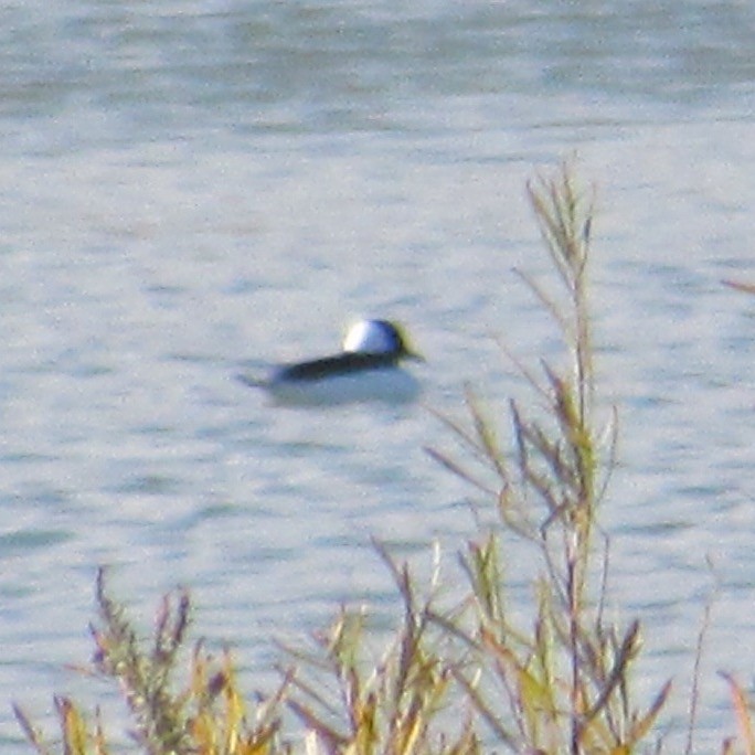 bøffeland - ML644464175