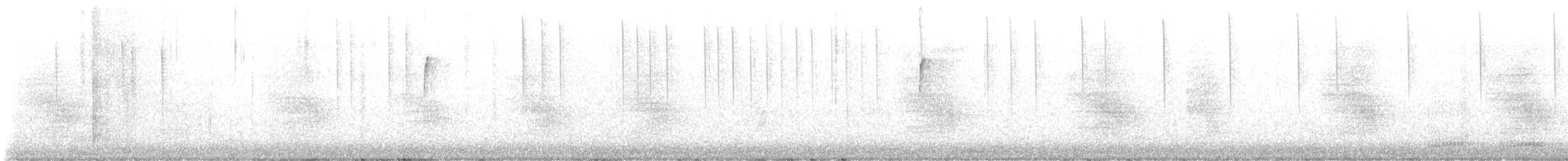 Steller's Jay - ML644466643