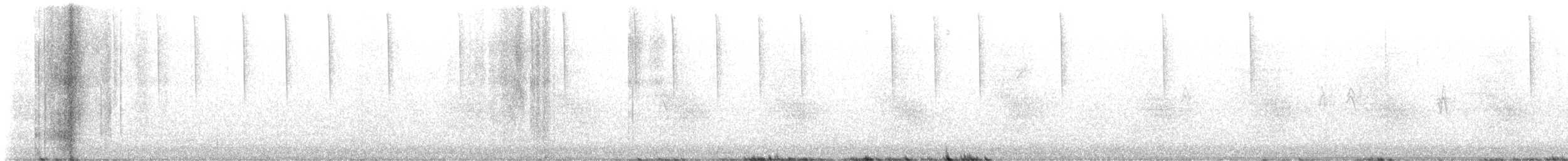 Steller's Jay - ML644466664