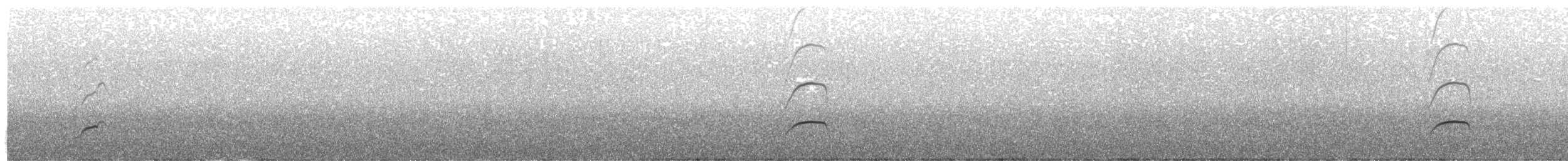 Ostrero Pío Americano - ML644466801