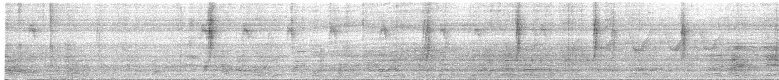 Mrs. Gould's Sunbird - ML644466877