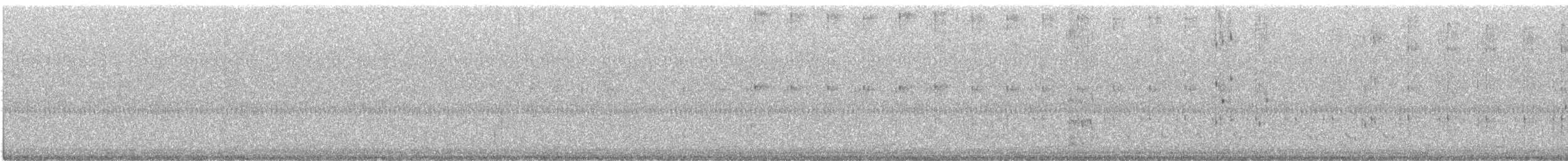 Amerikaschleiereule - ML644466981