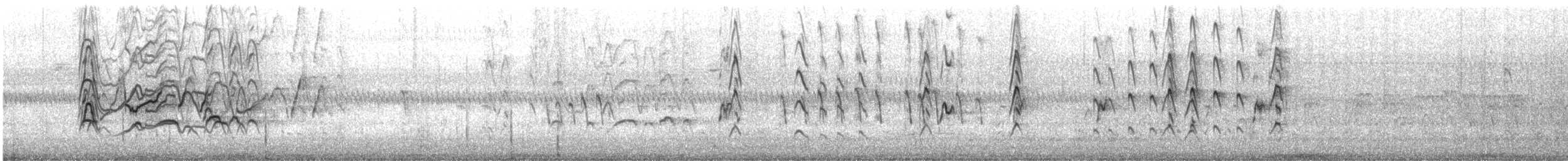 Black-bellied Whistling-Duck - ML644467301