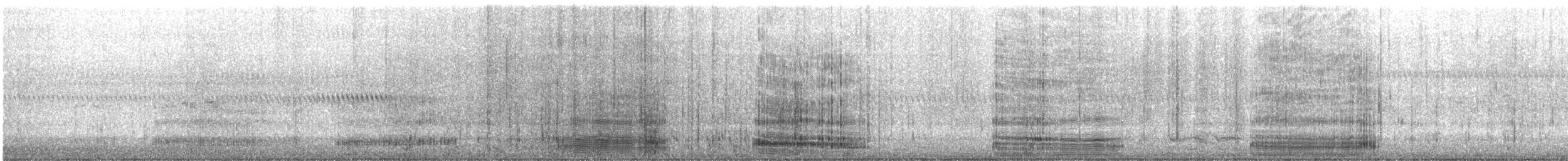 Great Egret - ML644467308