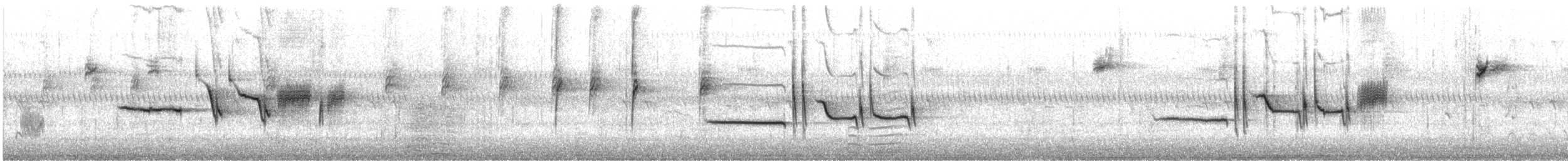 White-crowned Sparrow - ML644467333