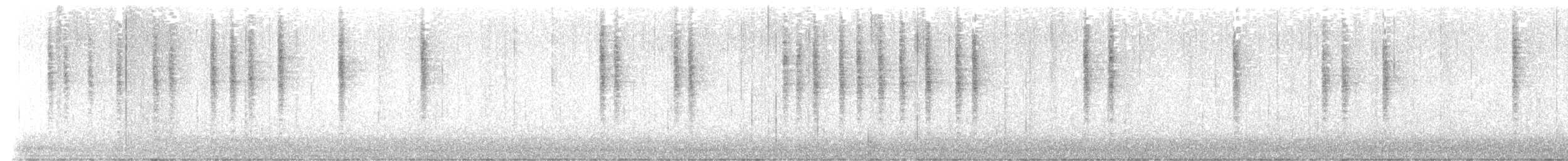 מלכילון אמריקני - ML644467336