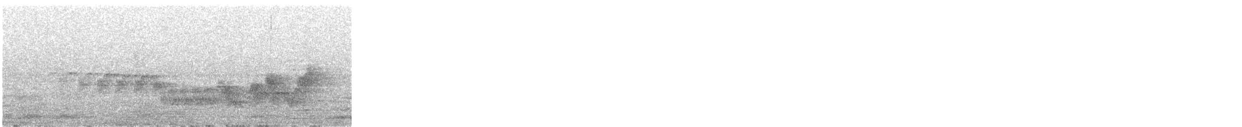 madeirafink - ML644468378