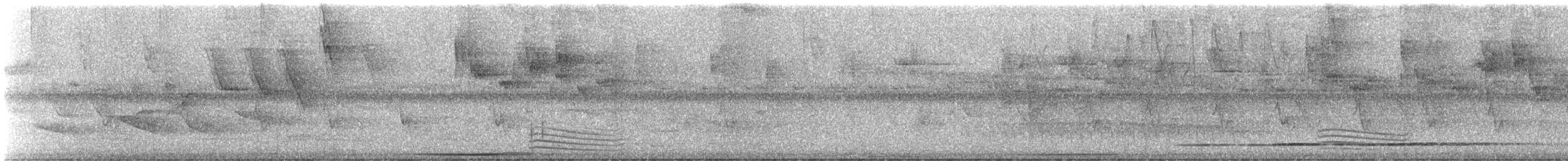 Variable Antshrike - ML644468392