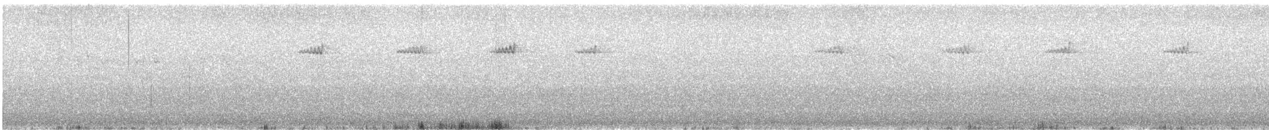 Хөвчийн бялзуумар - ML644468429