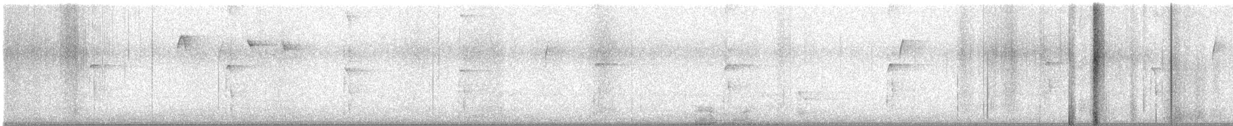 Hairy Woodpecker - ML644468455