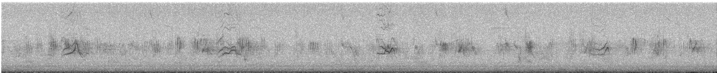 Steinsperling - ML644469834