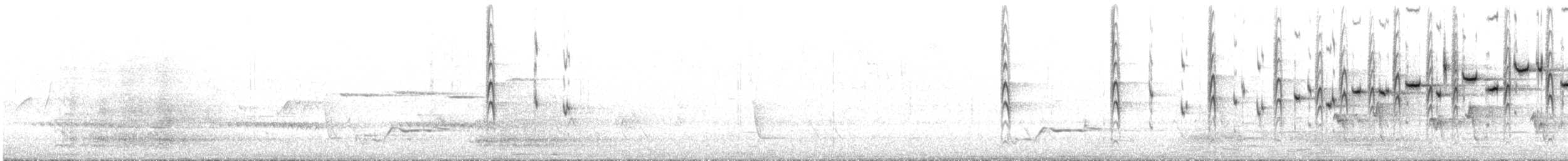 Gray Fantail - ML644470468