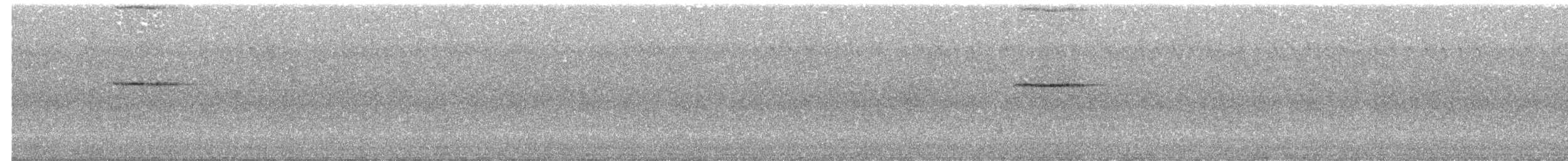 Malabar Whistling-Thrush - ML644470667