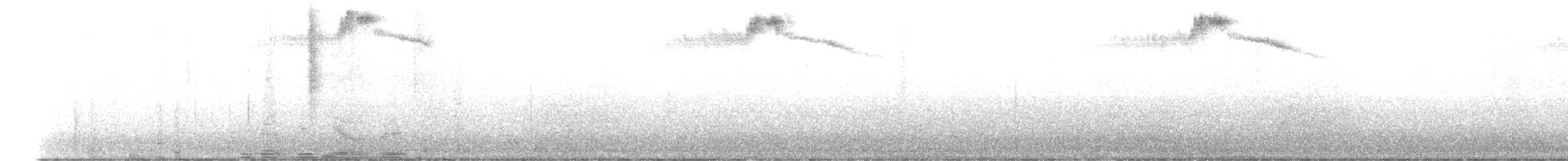 kalypta kalifornská - ML644470709