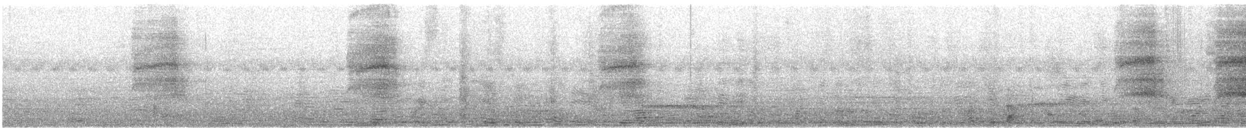 Amerikaschleiereule - ML644470930