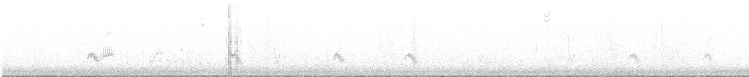 キビタイシメ - ML644471088